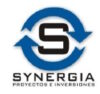 Holding Synergia
